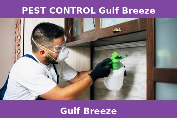 PEST CONTROL Gulf Breeze
